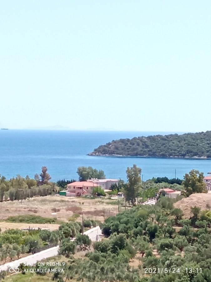 Villas Guest House Vathy Exterior foto